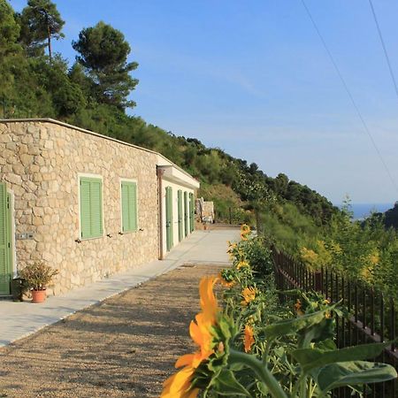 Il Casotto Del Nonno Apartment Ventimiglia Exterior foto