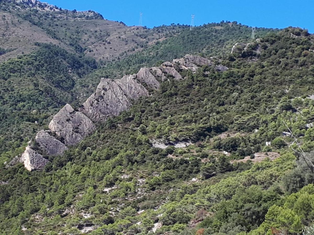 Il Casotto Del Nonno Apartment Ventimiglia Exterior foto